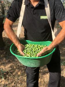 Cuvée Trésor Vert 37.5CL NOUVELLE RÉCOLTE 